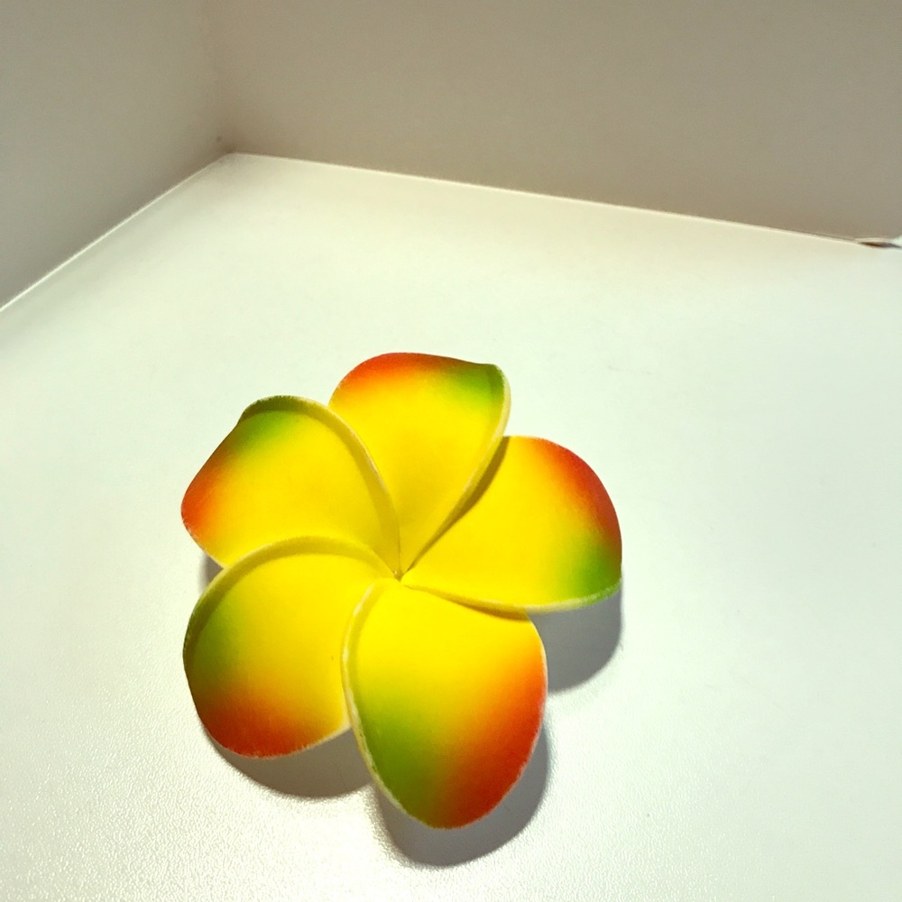 Free with purchase 🌺Hawaiian Flower Hair Clip🌺